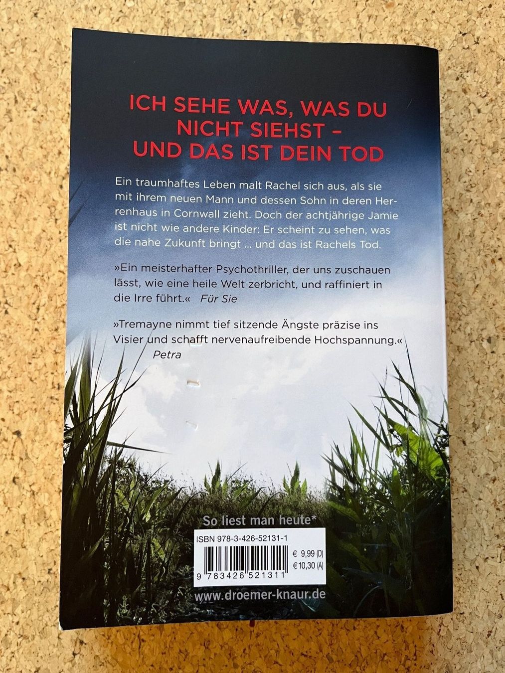Libri: Taschenbuch "Stiefkind", S. K. Tremayne – Usato da Grosswangen venduto da Vita500 1