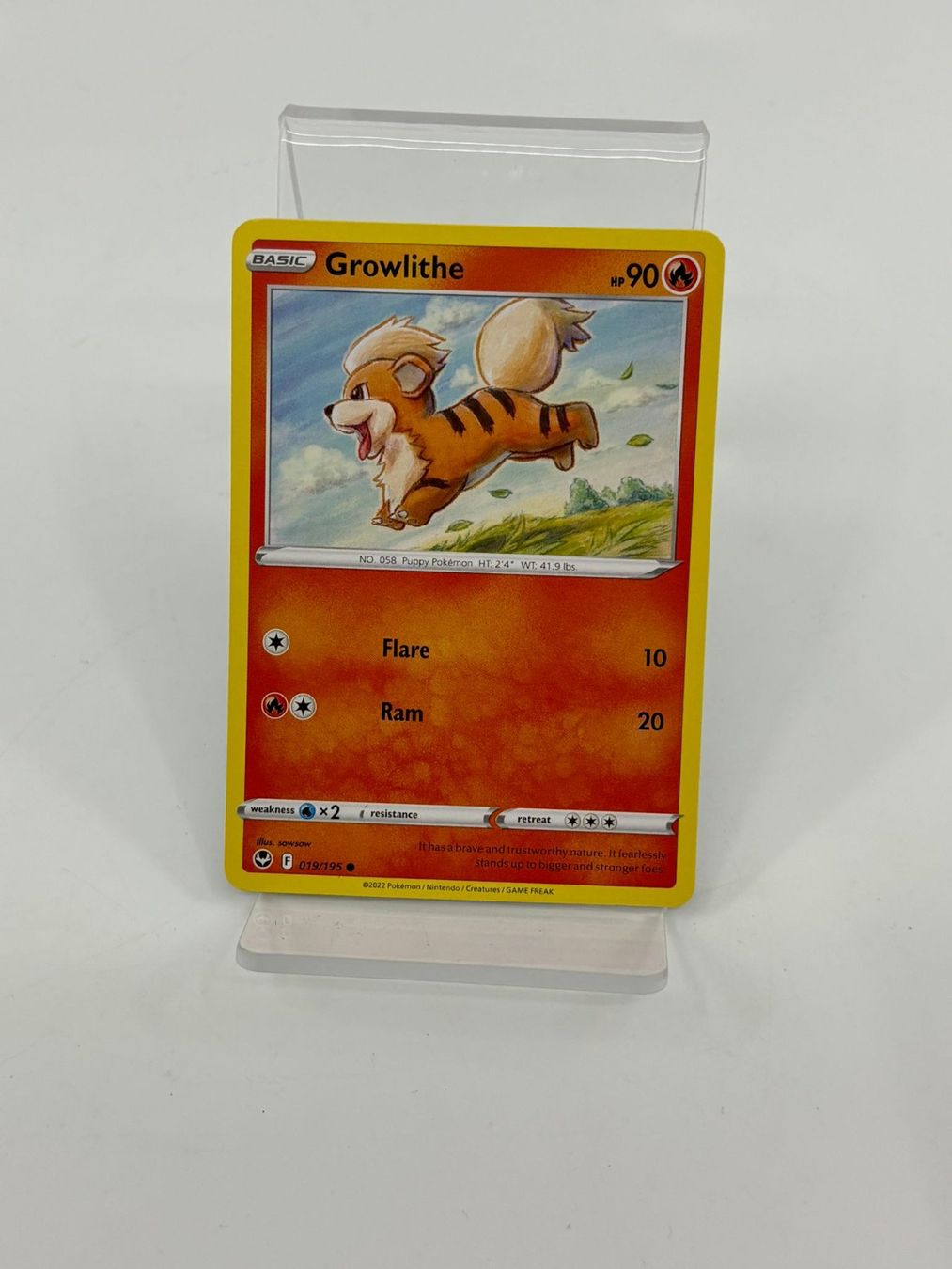 Pokémon Carte collezionabili: Pokemon Growlithe 019/195 – Usato da Herisau venduto da Pokemon2025