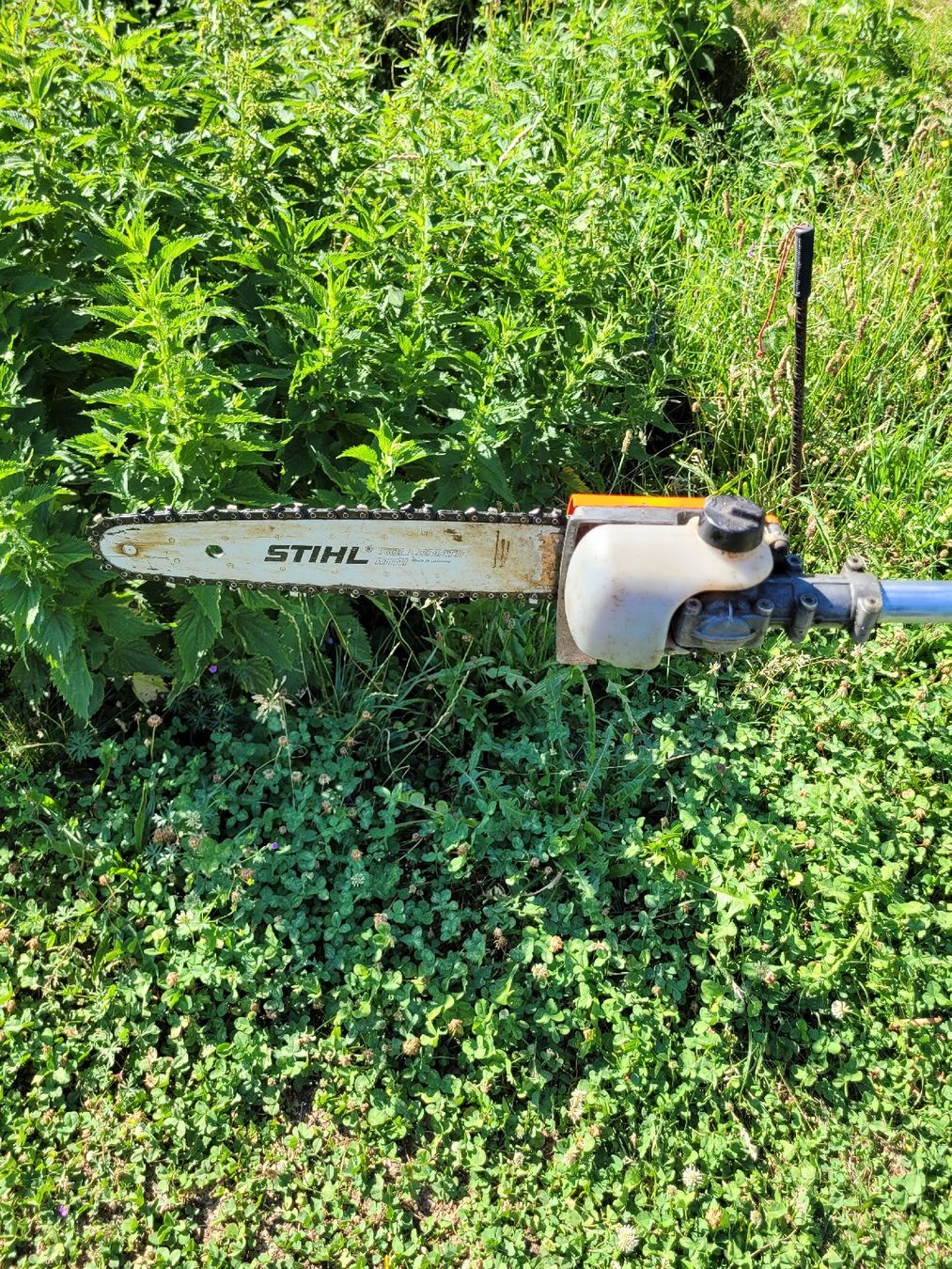 Seghe: Stihl HT 75 Hochentaster Gebraucht  – Usato da Brienz BE venduto da Hundechef 8