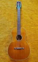 Parlour Gitarre mit K&K