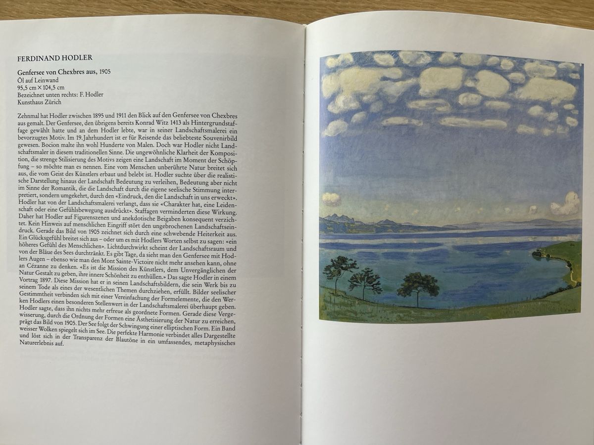 Libri: Schweizer Malerei – Usato da Uffikon venduto da Frosch1506 1