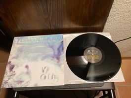 Tuxedomoon - You