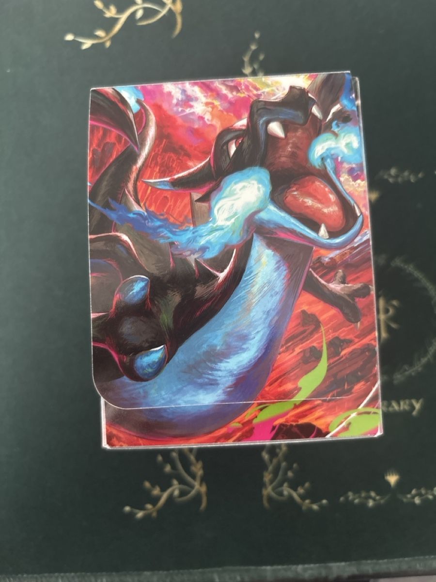 Album: Pokemon Deck Box Charizard Artwork new – Nuovo (secondo la descrizione) da Wilen b. Wollerau venduto da BigniaE