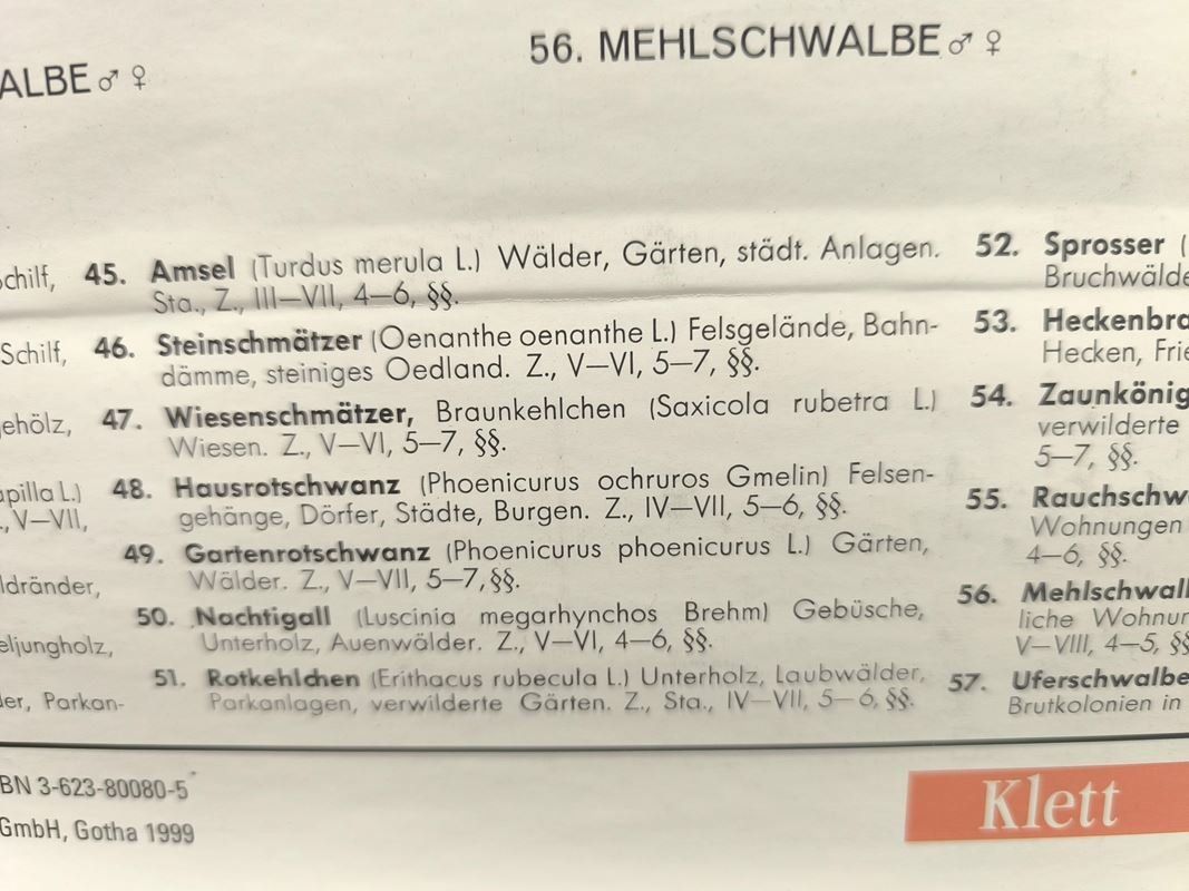 Foto & Immagini: PERTHES - Karte Singvögel – Usato da Rüti ZH venduto da Restwert_Rueti_ZH 7