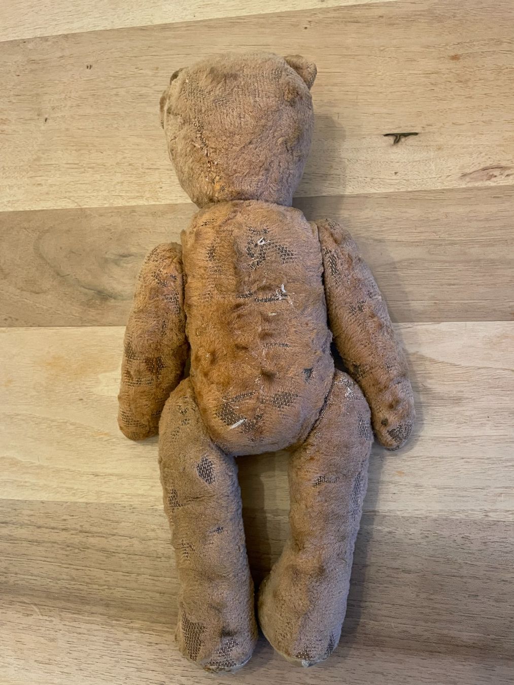 Bambole: Alter Teddybär – Usato da Basel venduto da visalia 1