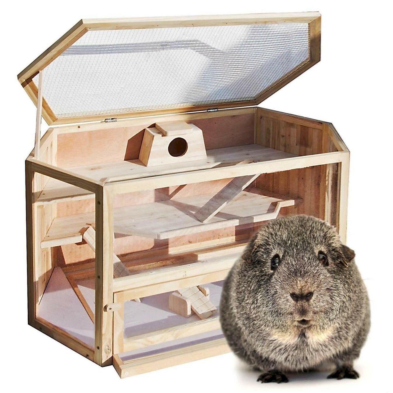 Käfige, Transport & Sicherheit: WilTec XXL Hamsterkäfig – Neu und originalverpackt aus Bottighofen von zaap