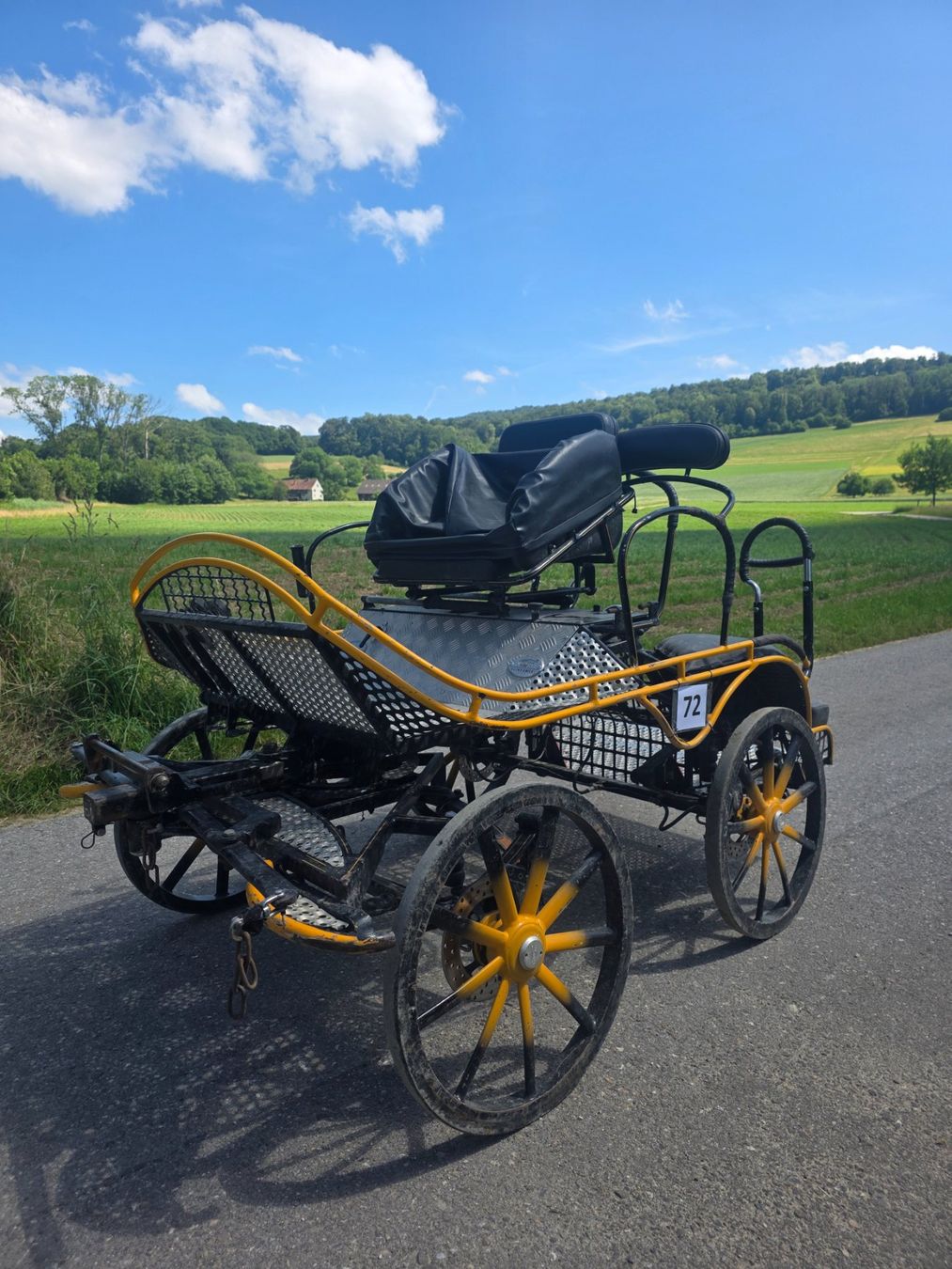 Carrozze: Marathonkutsche 2 Spänner Pony – Usato da Ehrendingen venduto da viviane.h