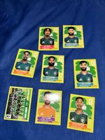 Saudi arabien 8x panini