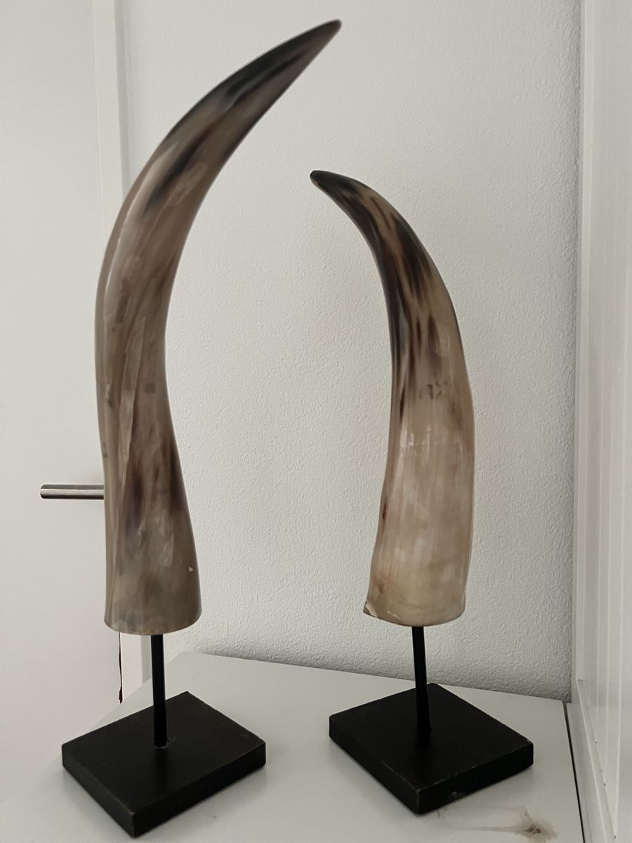 Maisons du monde Tutte le decorazioni: Mounted Horns Sculpture on Stands - Rustic Home Decor – Usato da Altendorf venduto da EncoreStyle 1