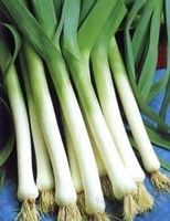 POIREAU D'HIVER FACILE +100g