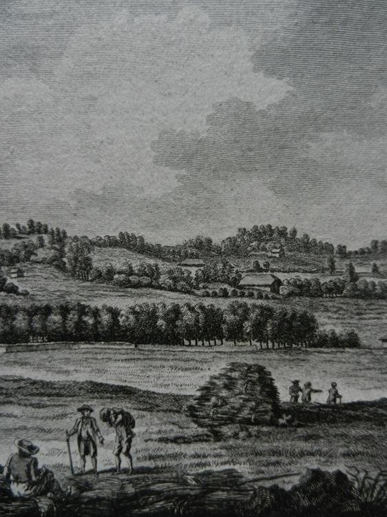 Incisioni: Vue du château Riggisberg – Usato da Risch venduto da Rischli15 7