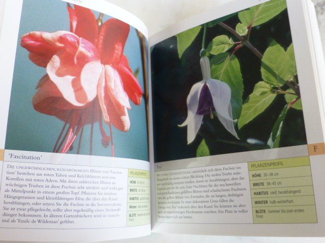 Libri: Fuchsien Pflanzenratgeber - Garten kompakt – Usato da Füllinsdorf venduto da Kapellie 4