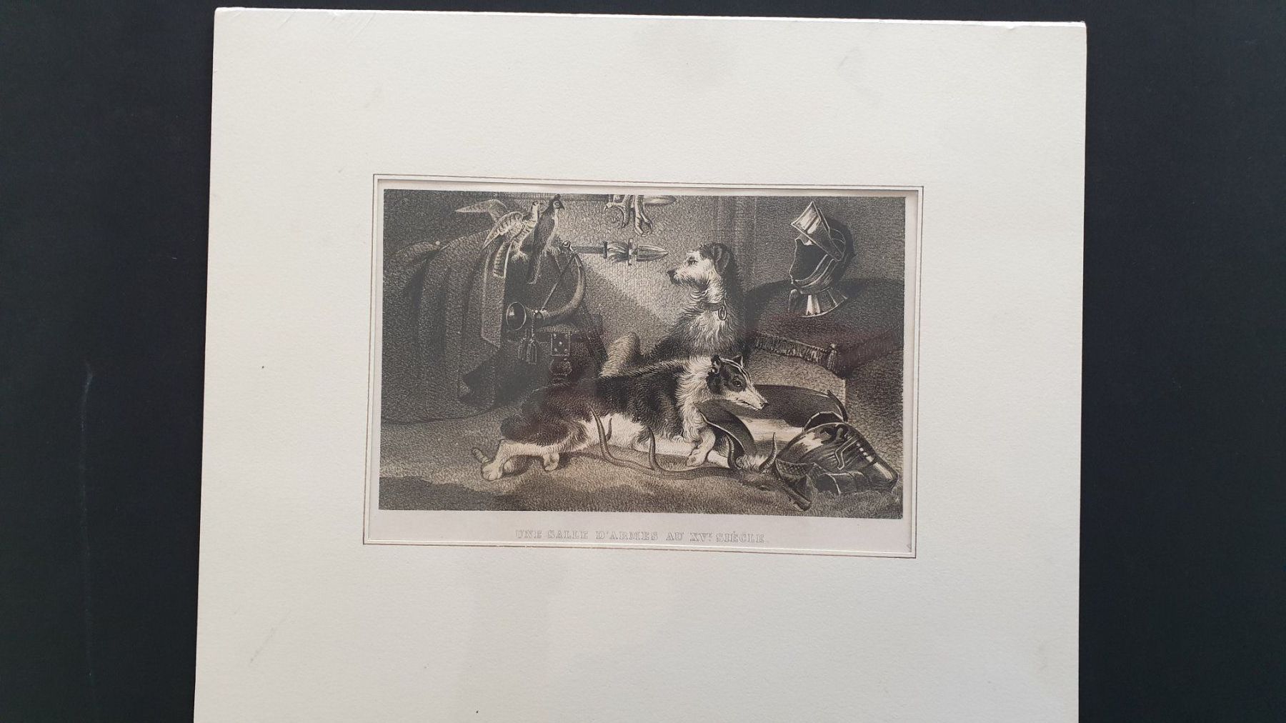 Stiche: Jagdhunde. Kupferstich. 19 Jh. – Gebraucht aus Goldach von armando_r 1