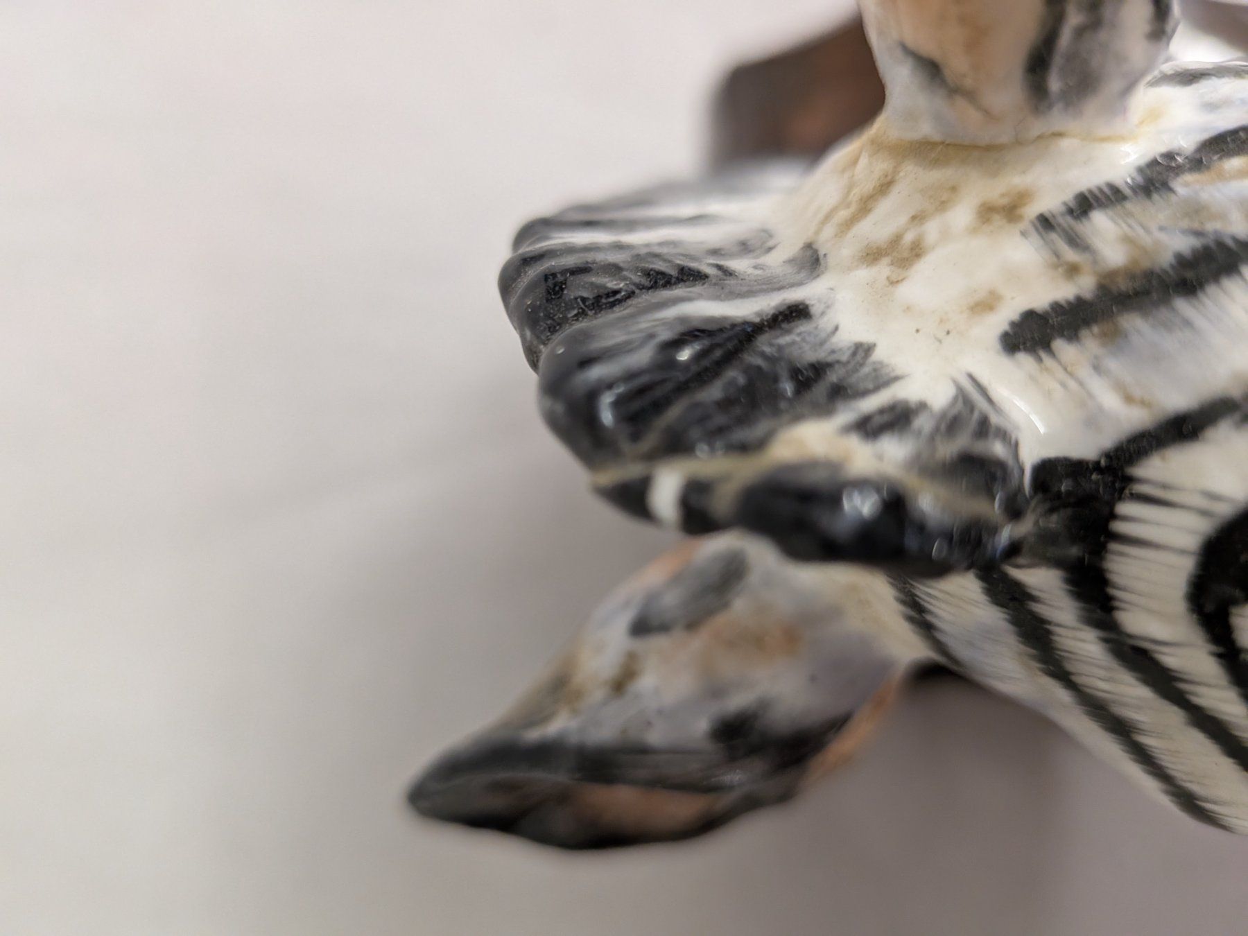Sculture & Statue: Zebra Regency Bone China defekt – Usato da Emmen venduto da magelan 4