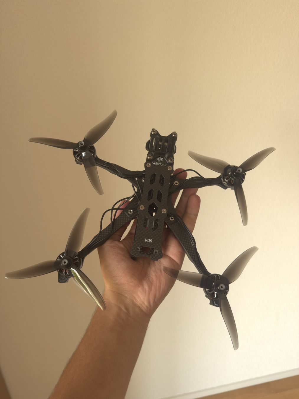 Modellismo RC: Selbstgebaute FPV Drohne – Nuovo (secondo la descrizione) da Fribourg venduto da nab_29l6
