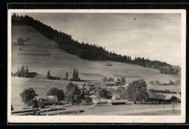 AK Riffenmatt, Ortsansicht mit Umland