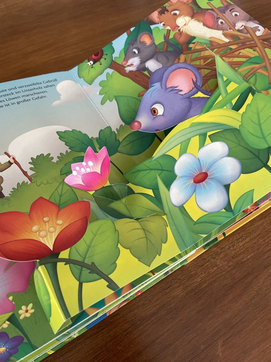 Bücher: Der kleine Löwe Pop-Up-Buch – Gebraucht aus Uznach von Player6 3