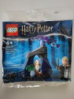 LEGO Harry Potter Darco im verbotenem Wald