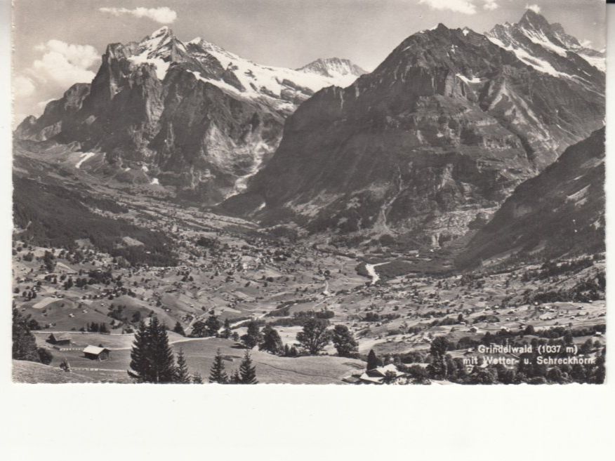 Cartes postales: Grindelwald 1958 – D'occasion à Bürglen TG par StampGraf