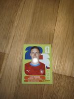 Panini WM 2026, CZE 10, Provod