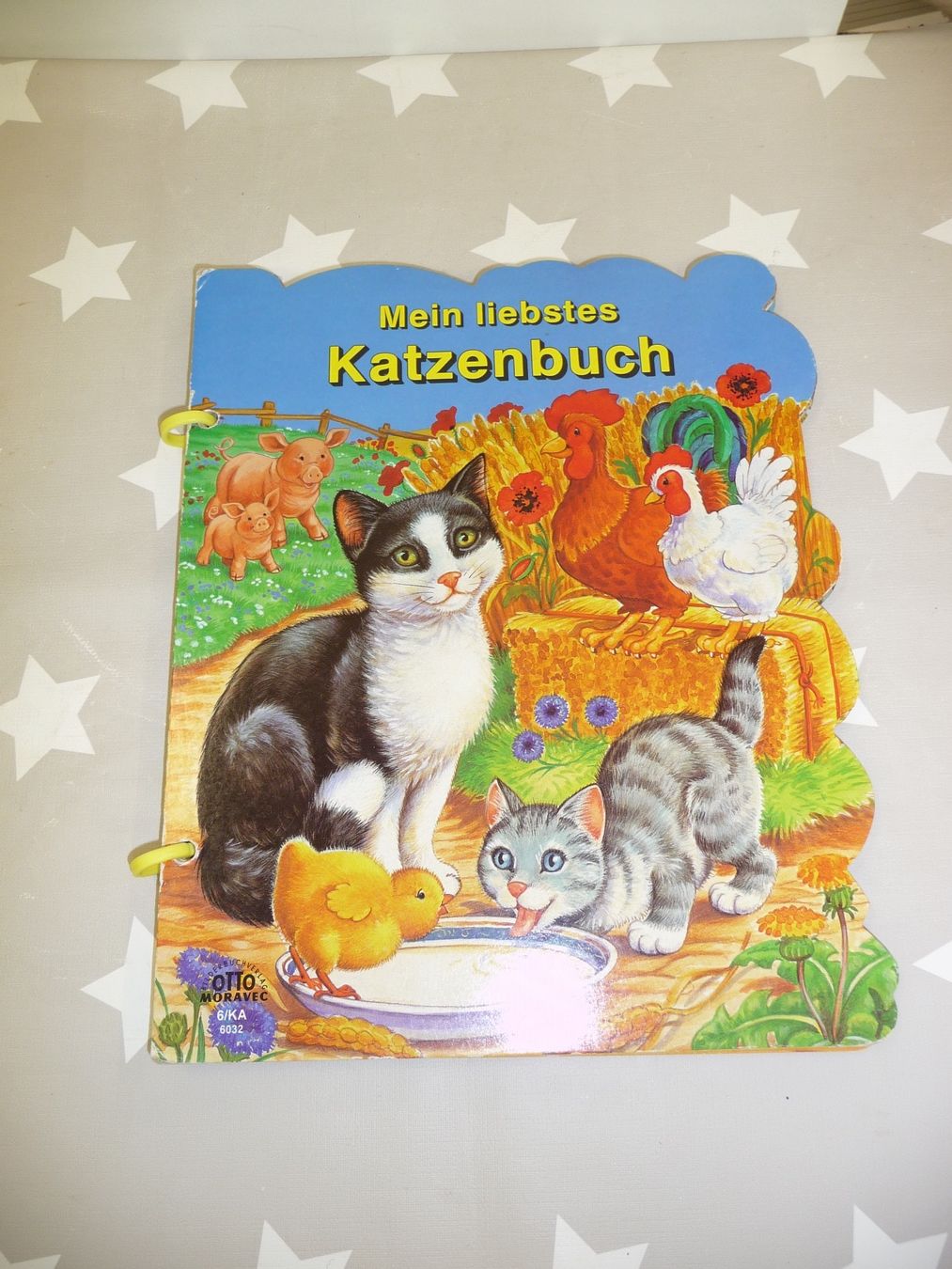 Libri: Buch: Mein liebstes Katzenbuch – Usato da Rafz venduto da Powacaddy