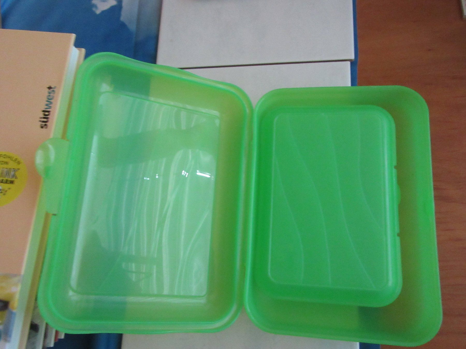 Contenitori & Simili: Lunchbox, eine grosse und eine kleine Box, grün, Plastik – Nuovo (secondo la descrizione) da Wattwil venduto da wampi 2