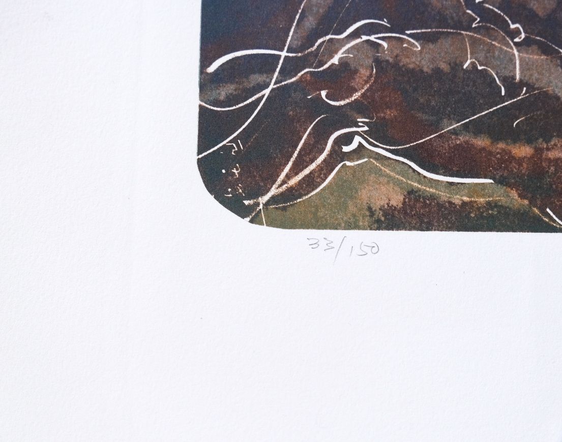 Grafica & Litografie: Schöne Hans Erni Farb Lithografie handsigniert – Usato da Bern venduto da meg_ypc9 2