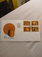 Transkei Enveloppe Premier Jour 1989 - Vannerie d'art!