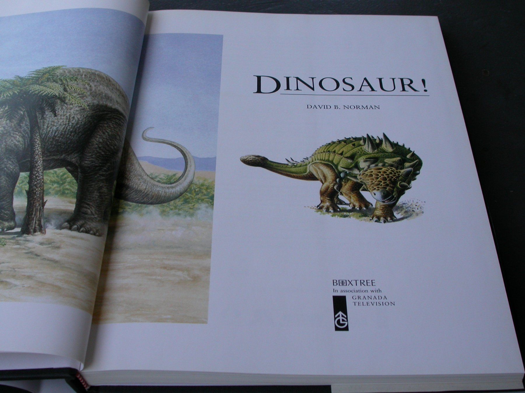 Libri: Dinosaur – Usato da Zürich venduto da Marcel6887 1
