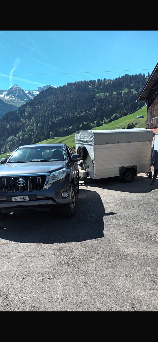 Toyota Automobili: Toyota Land-Cruiser 2.8 Diesel mit Viehanhänger – Usato da Oberiberg venduto da aut_h2vh 1