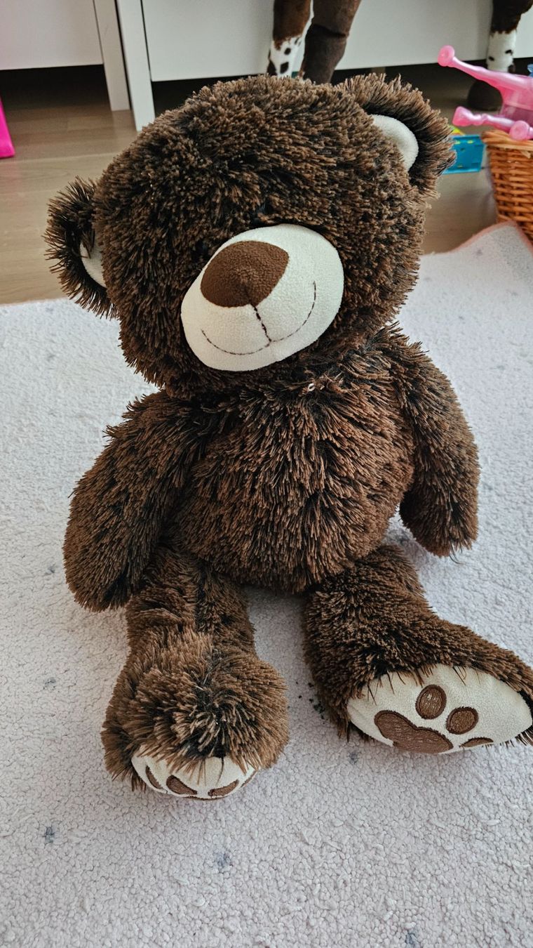 Jouets: Plüsch-Teddy – D'occasion à Kreuzlingen par nilguen
