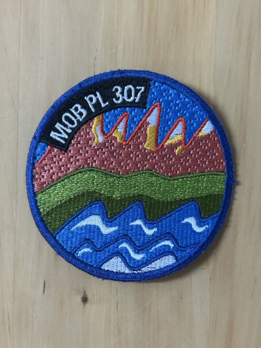 Armée suisse Plaquettes & Badges: Badge Mob Pl 307 – D'occasion à Berikon par DGC-1995