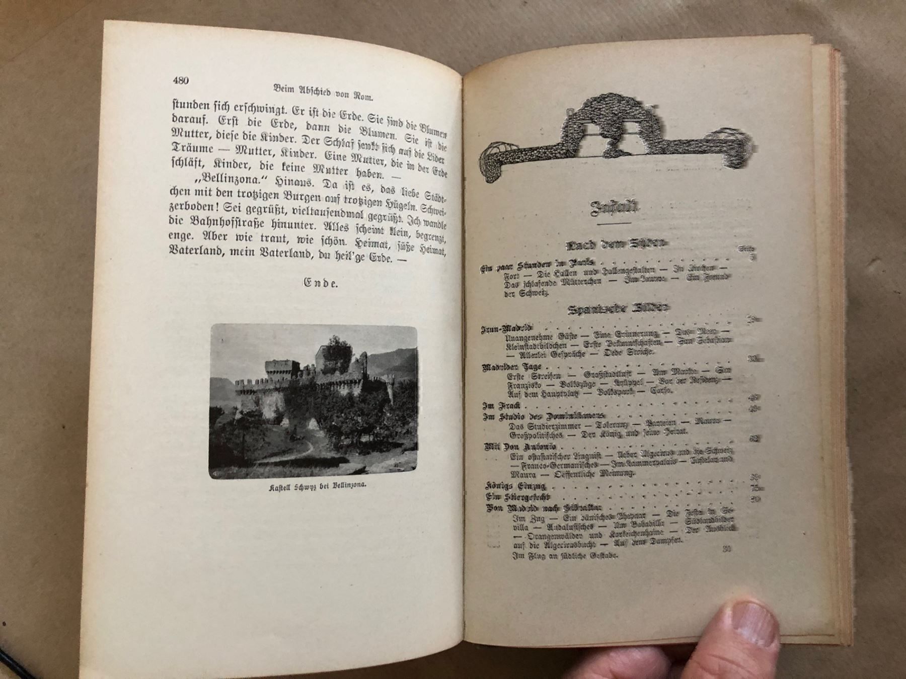 Bücher: Georg Baumberger: Im Flug an südliche Gestade – Gebraucht aus Zürich von allp 7