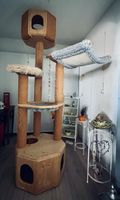 Grosser Katzenbaum
