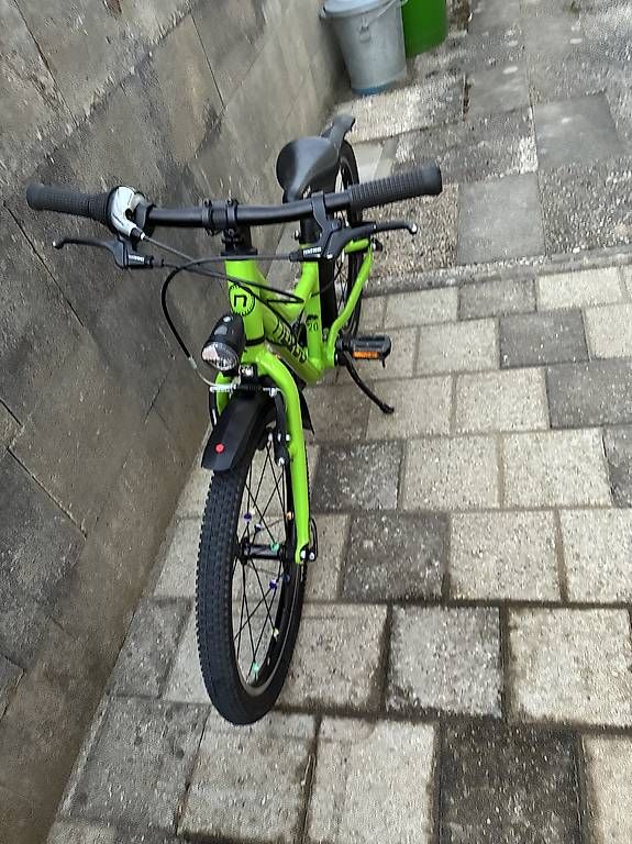 Naloo Biciclette: Naloo 20Zoll, Chameleon – Usato da Thun venduto da Flake1010 2