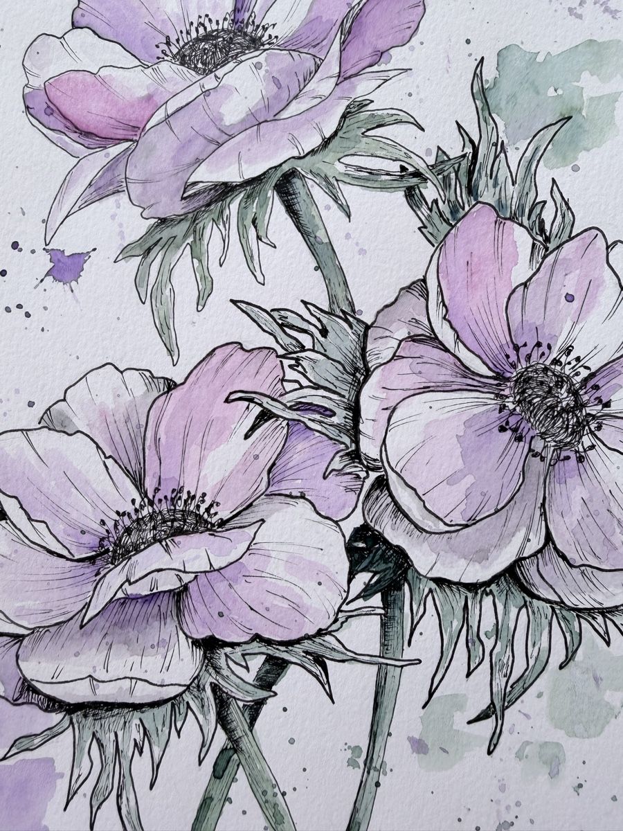 Gemälde: Gemälde Anemonen Aquarell 2026 – Neu (gemäss Beschreibung) aus Meggen von My_art_for_you 1