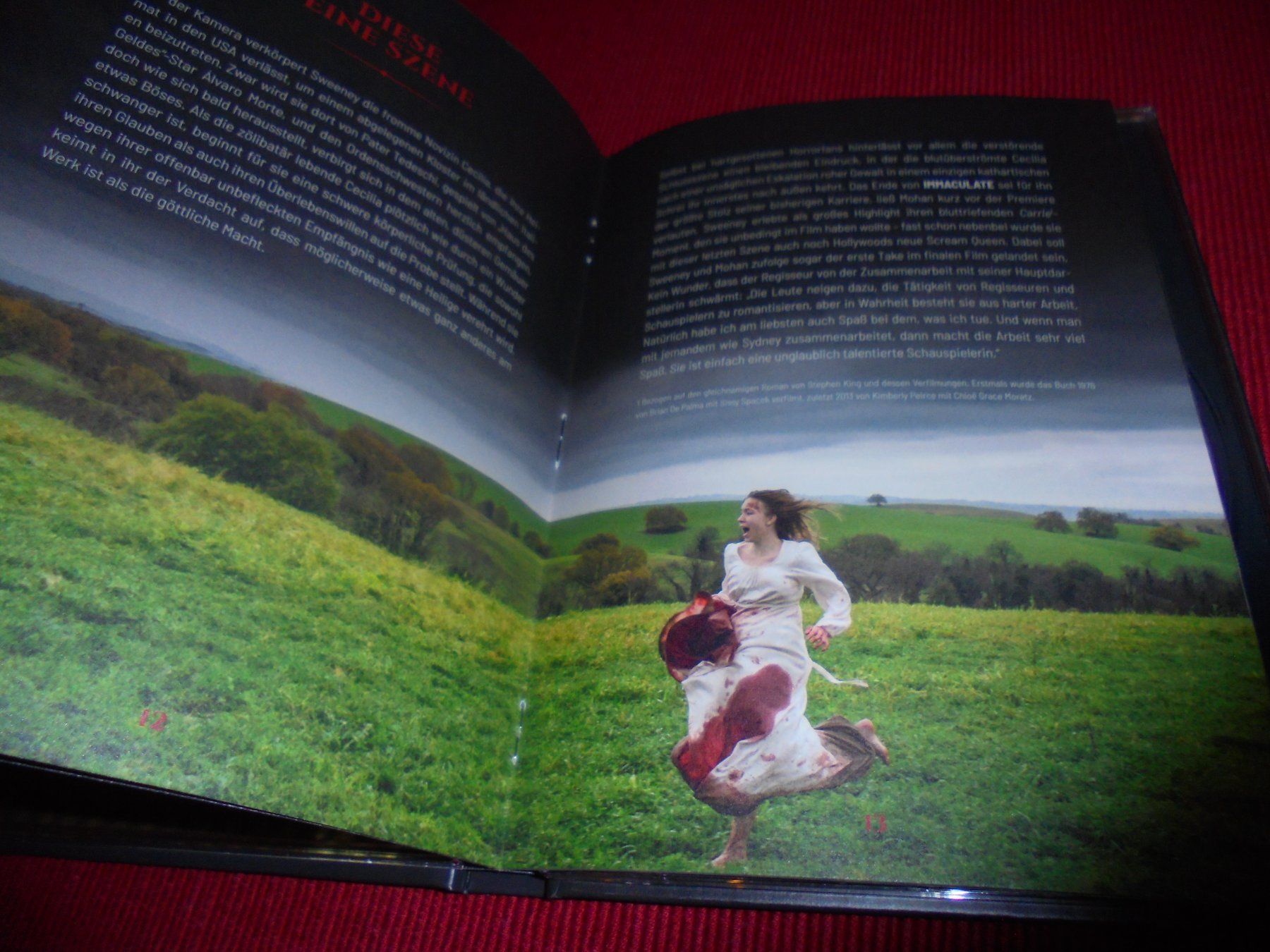 Tous les DVDs: Mediabook Immaculate   / SEHR TOP / Speziell – Neuf (Voir description) à Wattenwil par Firebird1 8