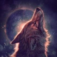 Profile image of Kyster