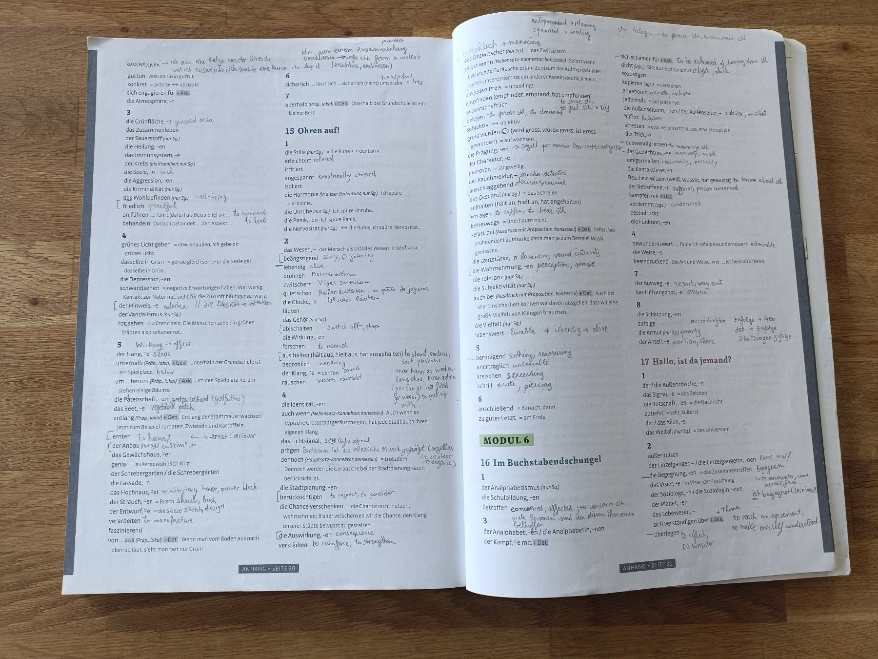 Libri: Deutschbuch "Vielfalt B2.2" – Usato da Bern venduto da carlota_dino 3