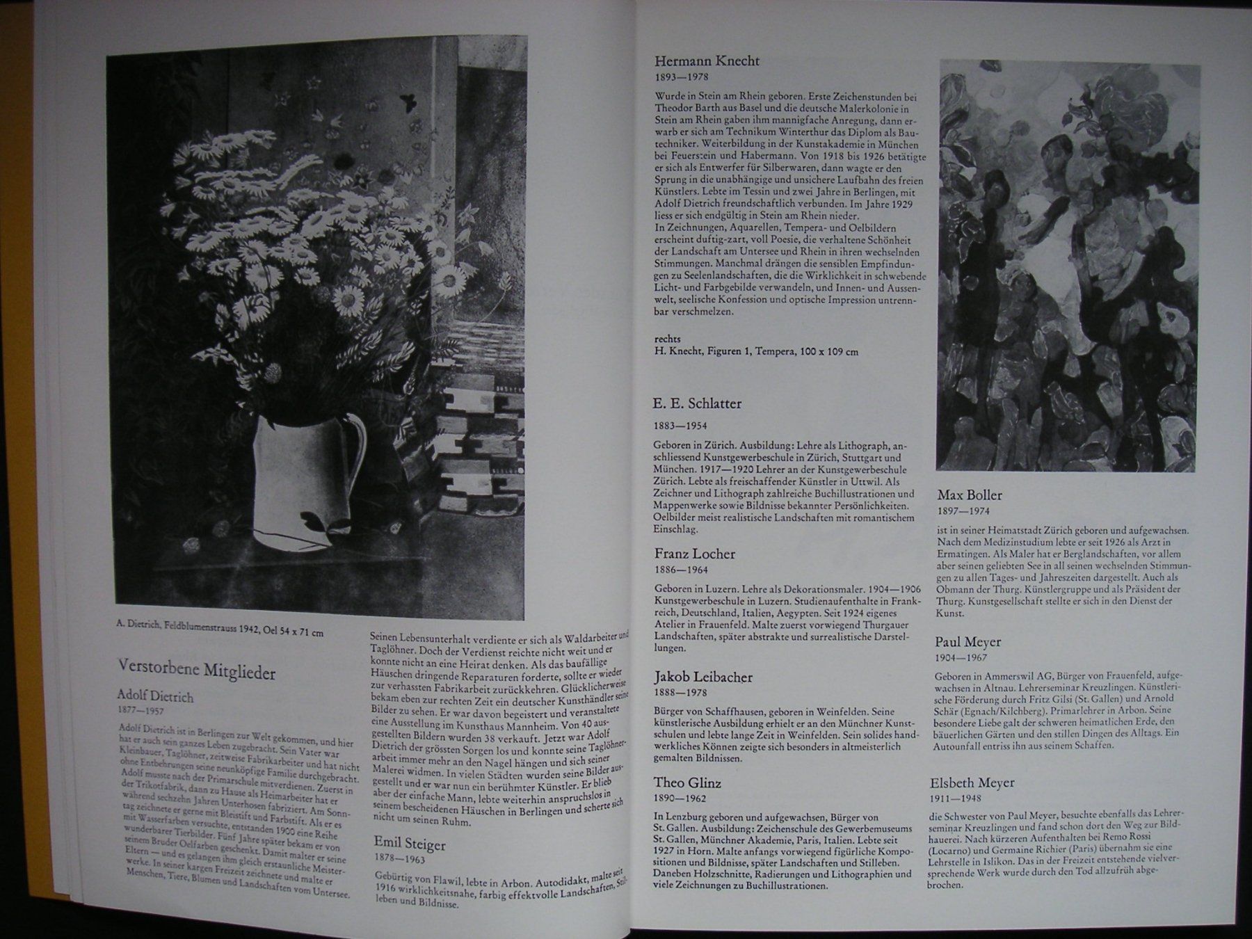 Libri: Thurgauer Künstler – Nuovo (secondo la descrizione) da Bottighofen venduto da onyx42 3