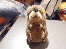 Igel, Steiff mit Knopf und Fahne