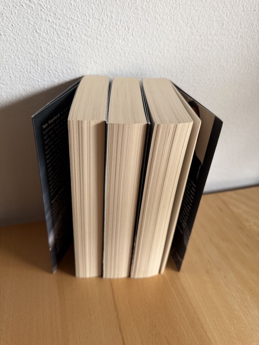 Bücher: Der Sturm Trilogie - Karen Sander – Gebraucht aus Schwarzenburg von Michellu 4