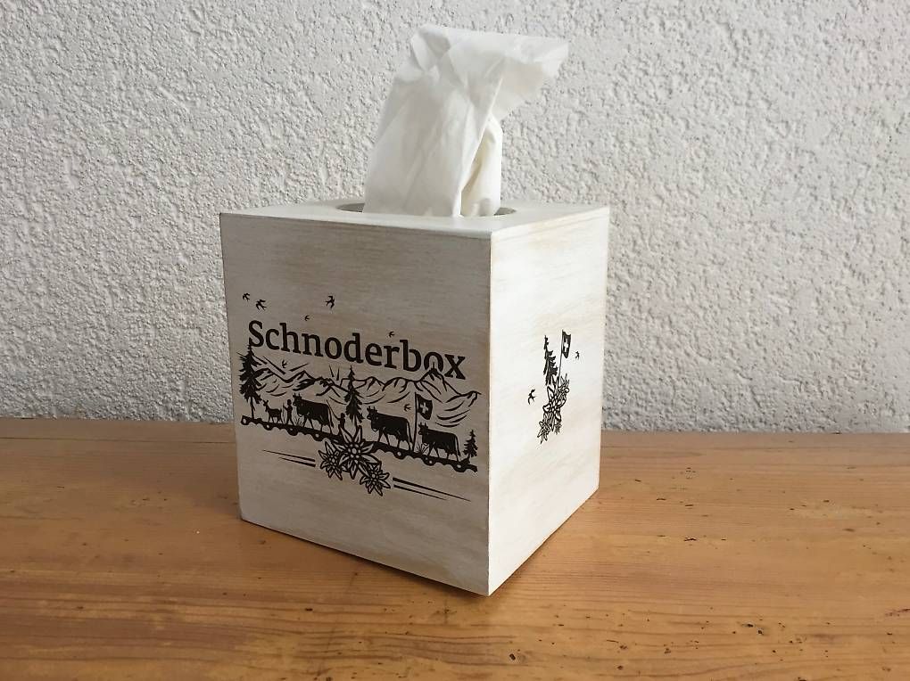 Altro in Decorazioni & Accessori: Kleenextaschentücherbox Würfel / schnoderbox – Usato da Niederbüren venduto da canadace 1