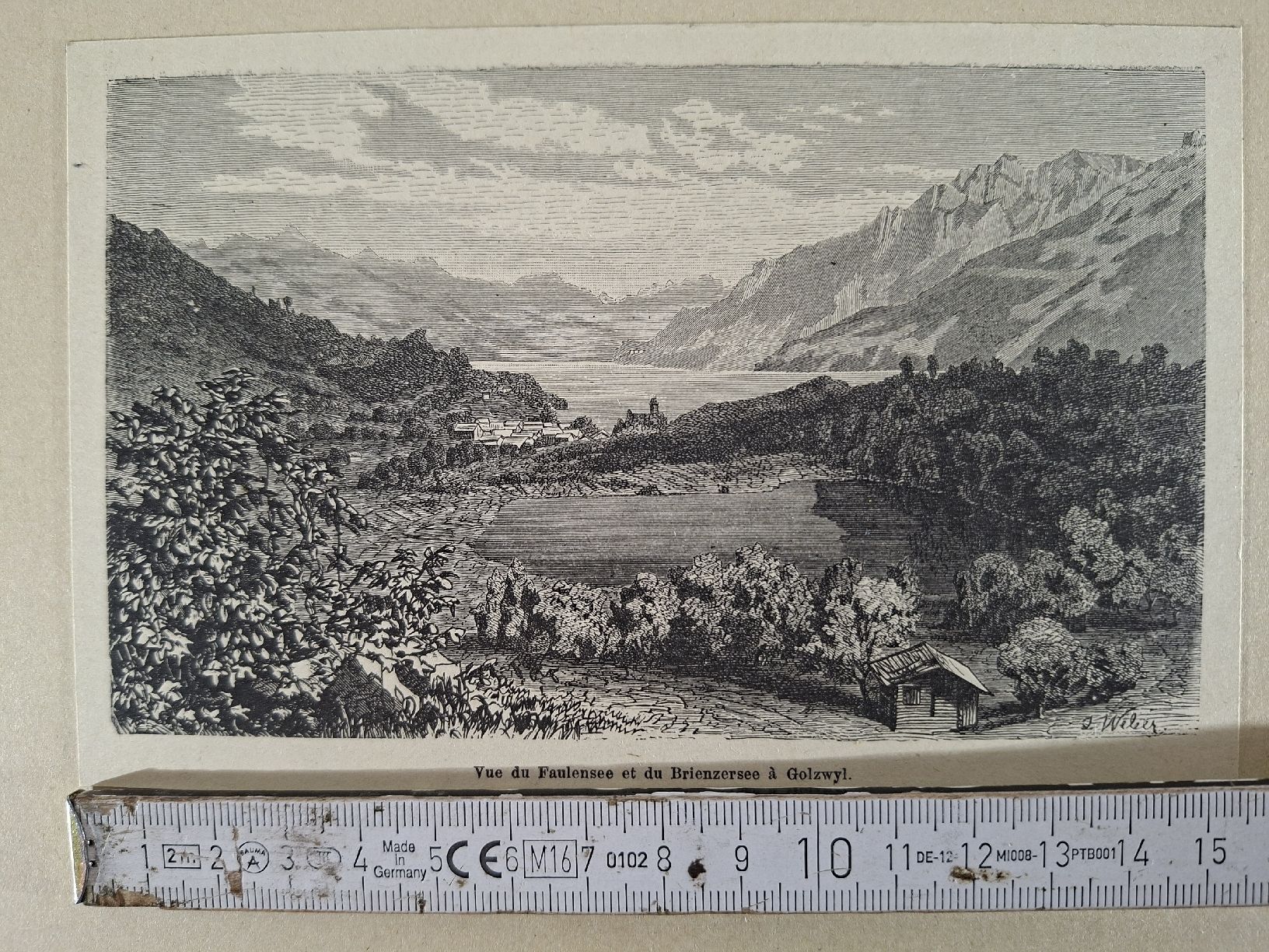 Incisioni: Lot 61, 10 Stiche  – Usato da Grindelwald venduto da carro5 9
