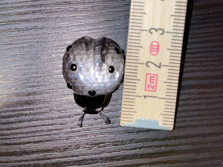 Swarovski Figuren: Swarovski Crystal Marienkäfer – Gebraucht aus Glattfelden von Aura_X 2