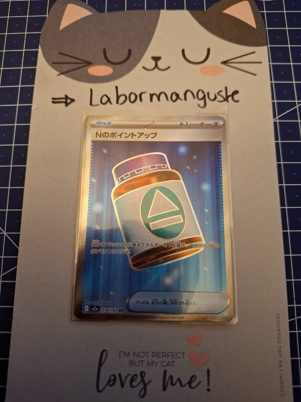 Pokémon Carte collezionabili: Pokemon Ns AP Plus 214/193 JAP – Nuovo (secondo la descrizione) da Fällanden venduto da Labormanguste