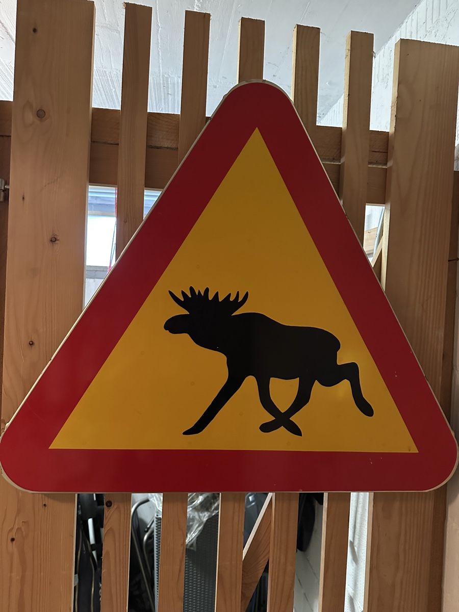 Insegne: Elchschild Schweden  Verkehrsschild Orginal – Usato da Cham venduto da Steinbock89