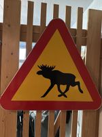 Elchschild Schweden  Verkehrsschild Orginal