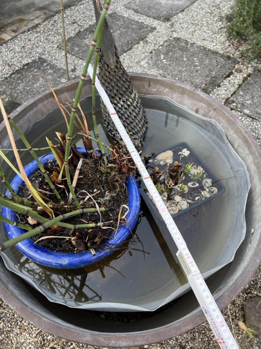 Vasi per fiori: Grosser Pflanzentopf innen, leicht – Usato da Kreuzlingen venduto da Muschel64 3
