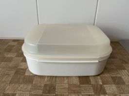 Tupperware Guetzlidose
